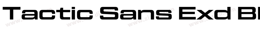 Tactic Sans Exd Bld字体转换